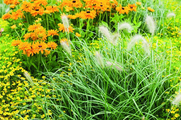 Konzepte zum Klimaschutz fehlen in vielen Staaten noch - Quelle: Irina Fischer/Fotolia