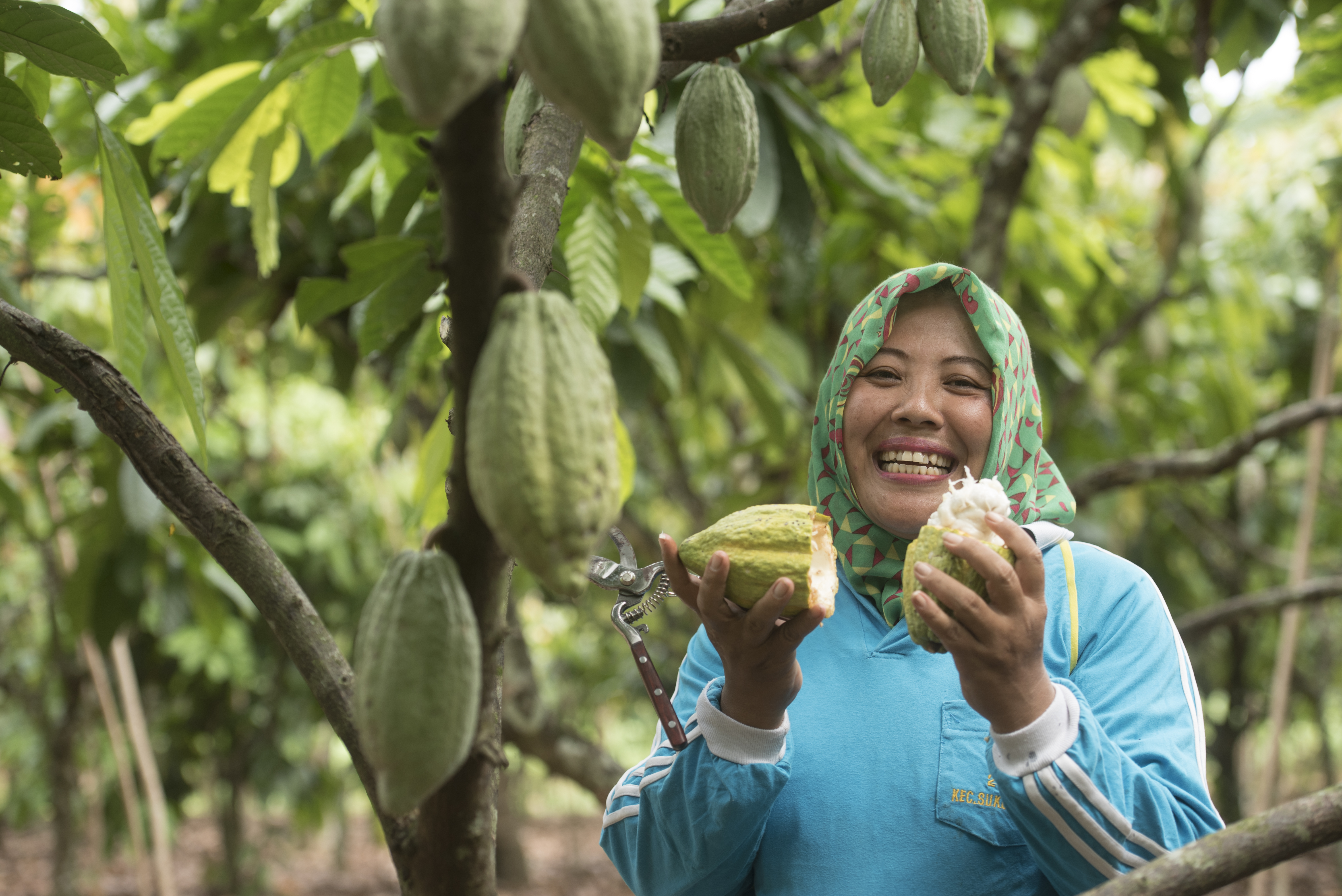 Mondelez International investiert weiter in Cocoa Life - Quelle: Mondelez International