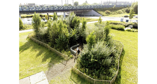 Merz Lifecare unterstützt Miya Forest - Tiny Forste in Utrecht - Quelle: Martin Egbert
